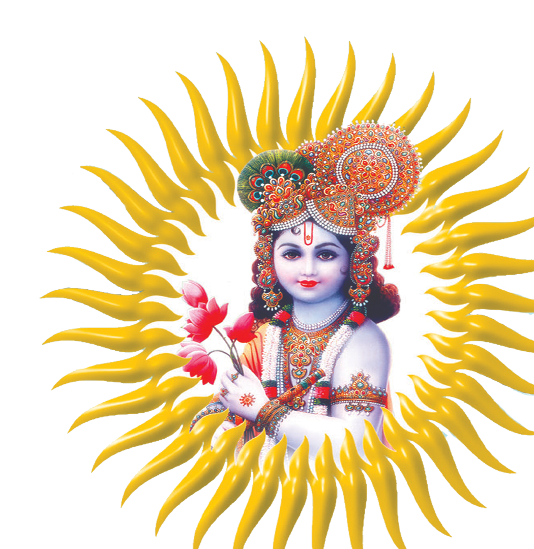 Shyam Door Icon